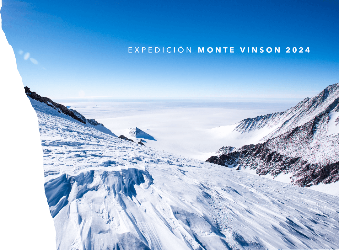 banner monte vinson
